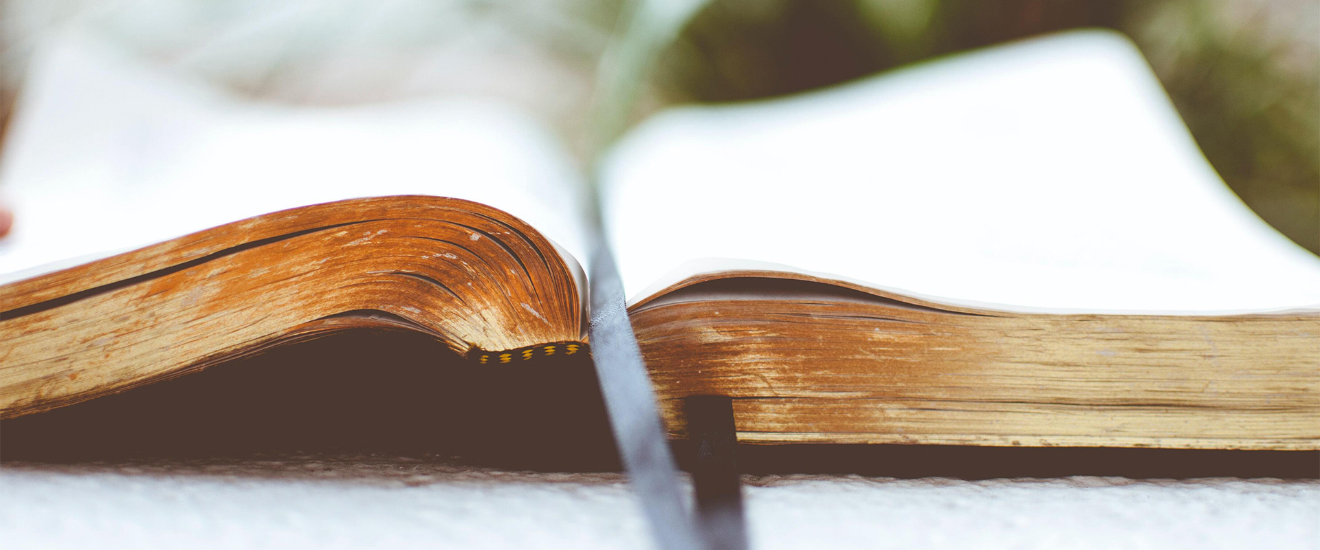 Sundays | 8:30 a.m.
Butterfield
